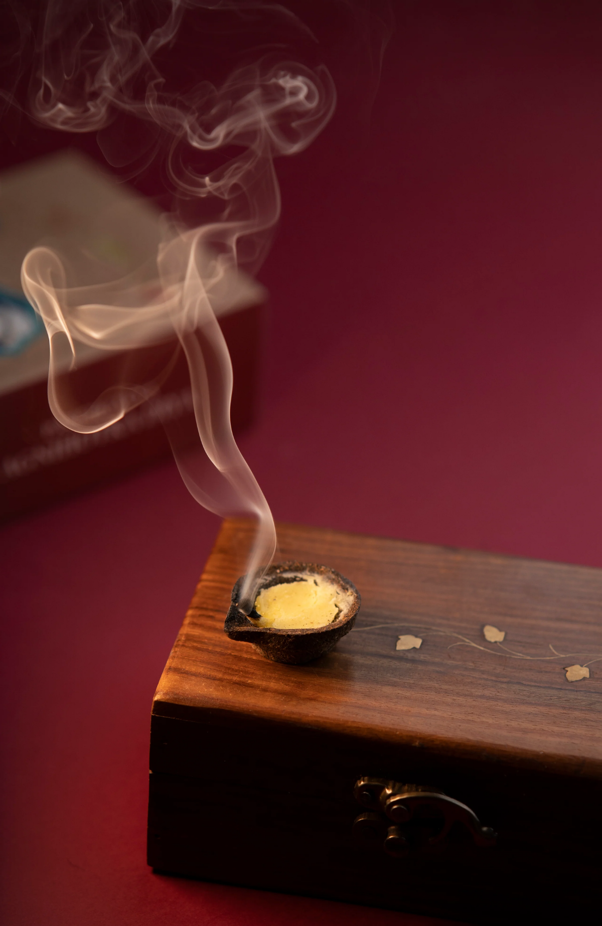 Immunity Booster Havan Ghee Diya